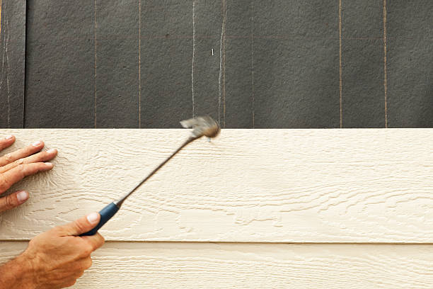 Best Historical Building Siding Restoration  in Yutan, NE